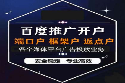 SEM网络推广案例：精准营销助力品牌成长