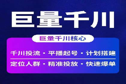 谷歌竞价广告在电商行业的运用案例